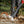 Load image into Gallery viewer, Nexpow 24V Cordless Leaf Blower, 130 mph at Leaf Blower, 24V, Handheld, Fast Charger, 4 Speed Mode